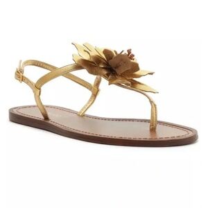 Arezzo Daisy Floral Sandals
Size 6.5